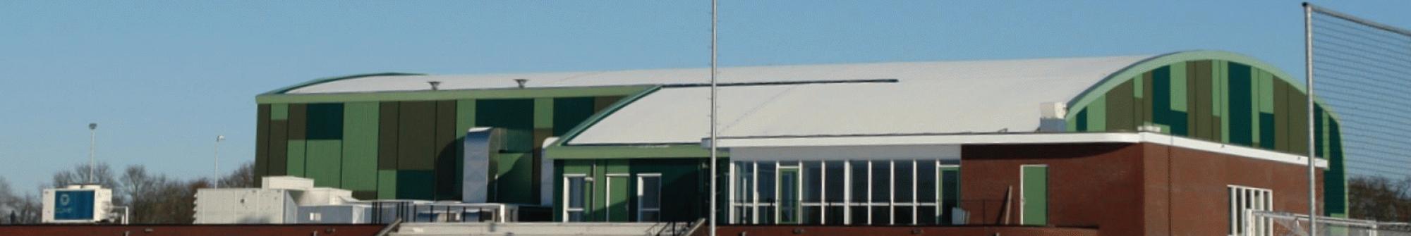 Hornesport